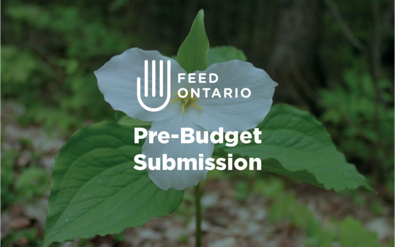 Pre-Budget Submission Feed Ontario